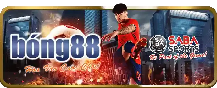 Chọn phiên bản ứng dụng